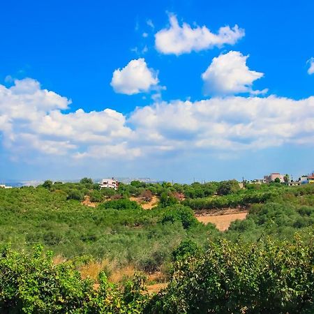 Villa Panagiotis Chania ダラトソ エクステリア 写真